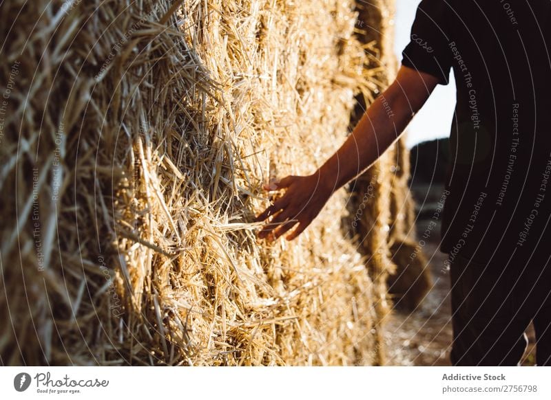 Mann berührt Heuhaufen Mensch Hintergrundbild Heugarben Haufen regenarm Trinkhalm Ackerbau Landwirtschaft Strohballen Natur Weizen gelb Stapel Ernte Gras