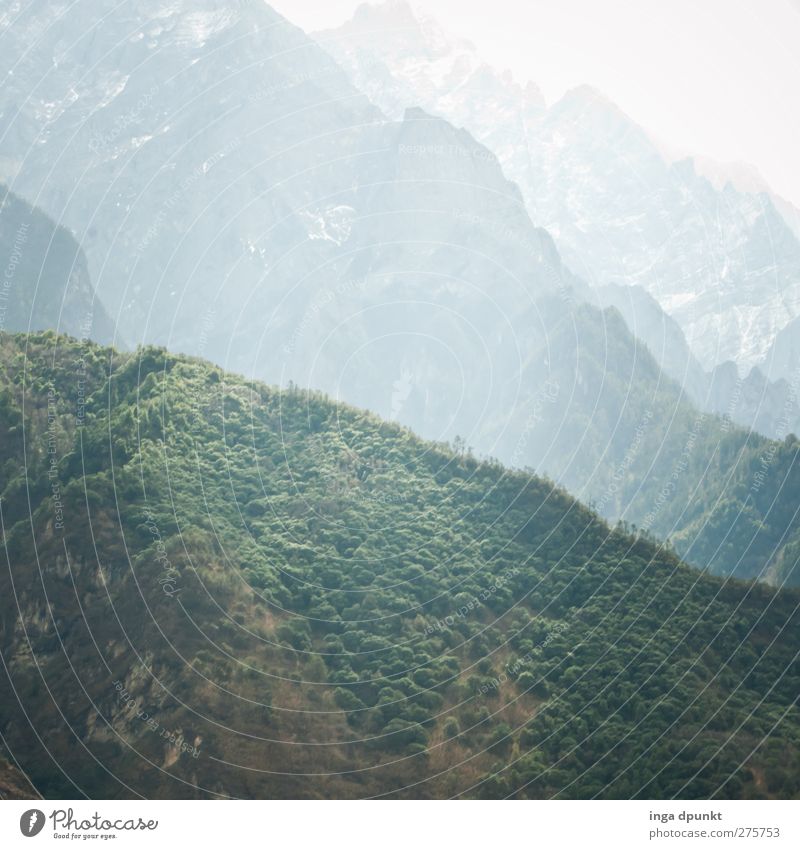Green Hills Umwelt Natur Landschaft Pflanze Sträucher Hügel Berge u. Gebirge Hochgebirge China Yunnan außergewöhnlich bedrohlich dunkel gigantisch groß