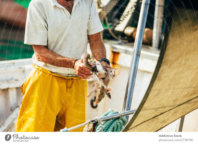 Mann mit kleinem Fisch im Arm Tier blau Kasten Diät Lebensmittel frisch Gesundheit horizontal Eis Industrie marin Markt mediterran Natur Ernährung Meer Palamos