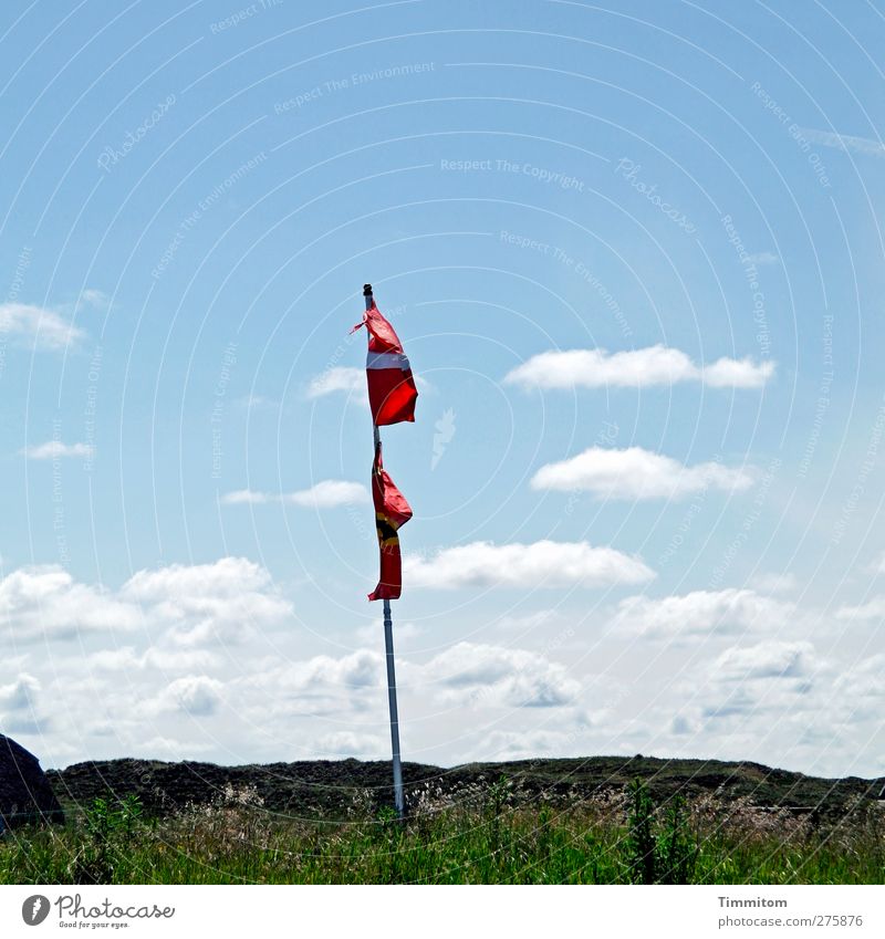 mødested Ferien & Urlaub & Reisen Umwelt Natur Pflanze Himmel Wolken Sommer Schönes Wetter Gras Hügel Düne Dänemark hängen blau grün rot weiß Freude Fahne