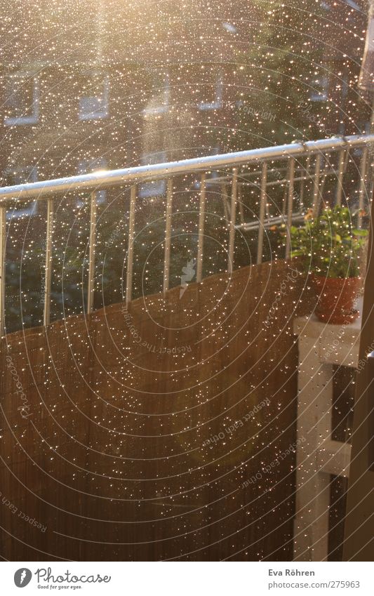 Goldener Sommerregen Häusliches Leben Wohnung Balkon Balkonpflanze Balkontür Wassertropfen Sonnenaufgang Sonnenuntergang Sonnenlicht Wetter Schönes Wetter Regen