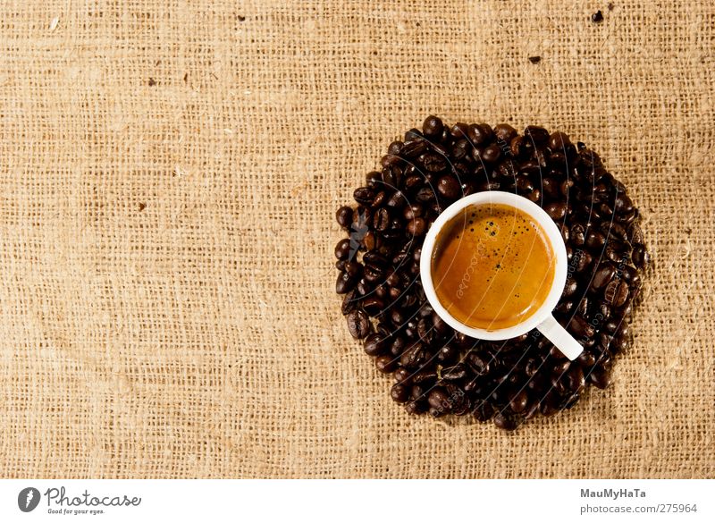 Kaffee Lebensmittel Getreide Schokolade Getränk trinken Heißgetränk Espresso Lifestyle elegant Stil Design exotisch Erholung Gefühle Optimismus Macht Tatkraft