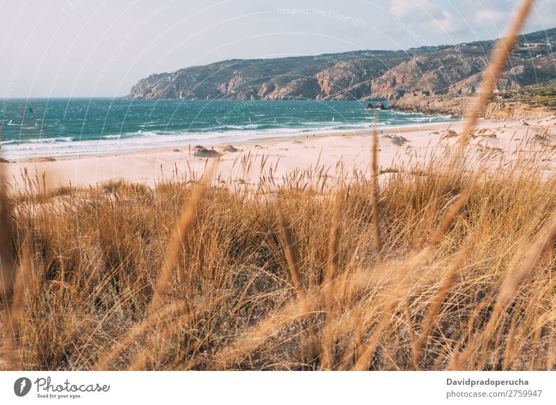 Schöner Strand in Portugal Sand Meer Sonne Ferien & Urlaub & Reisen schön Natur gold Sommer tropisch hübsch Landschaft Lifestyle Außenaufnahme Küste Einsamkeit