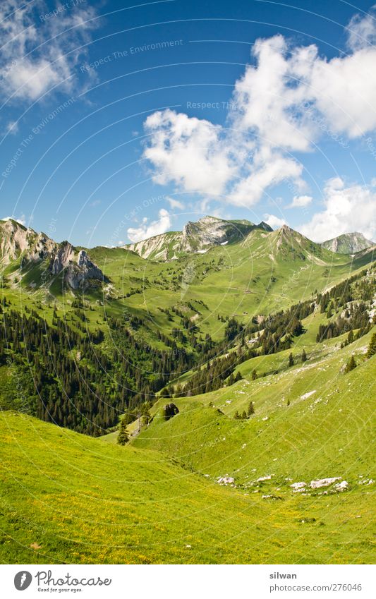 grüner Berg Natur Landschaft Wolken Sommer Hügel Felsen Alpen Gipfel gigantisch blau Abenteuer Einsamkeit Perspektive Berg und Tal Schweiz Niedersimmental Bern