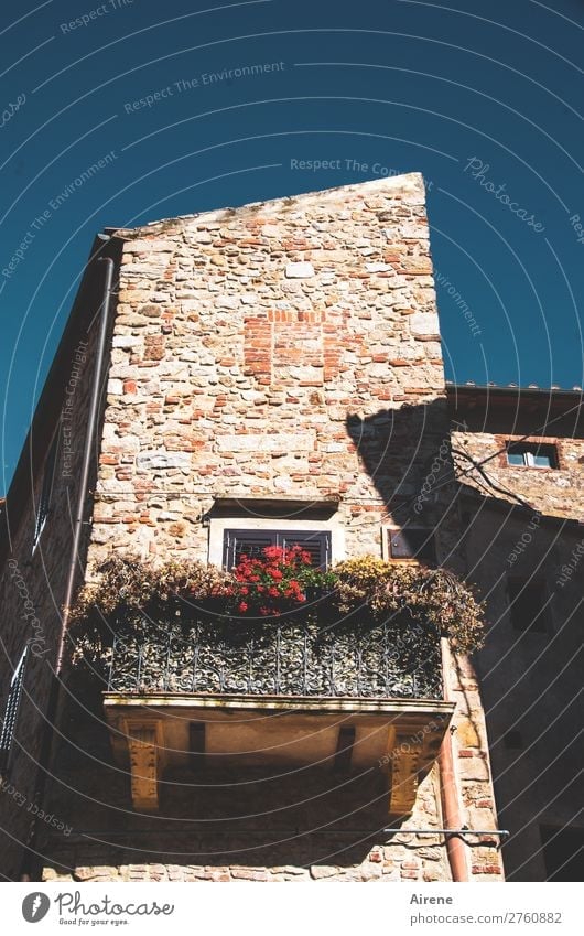 Da ist noch Leben Wolkenloser Himmel Sommer Klimawandel Schönes Wetter Balkonpflanze Pelargonie Toskana Dorf Kleinstadt Altstadt Haus Turm Altbau Mauer Wand
