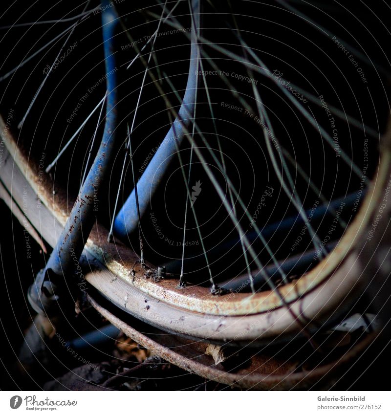 Old Bicycle Wheel Freizeit & Hobby Fahrradfahren radeln Ausflug Verkehrsmittel Verkehrsunfall Fahrzeug Stahl Rost alt dreckig dunkel blau braun grau schwarz