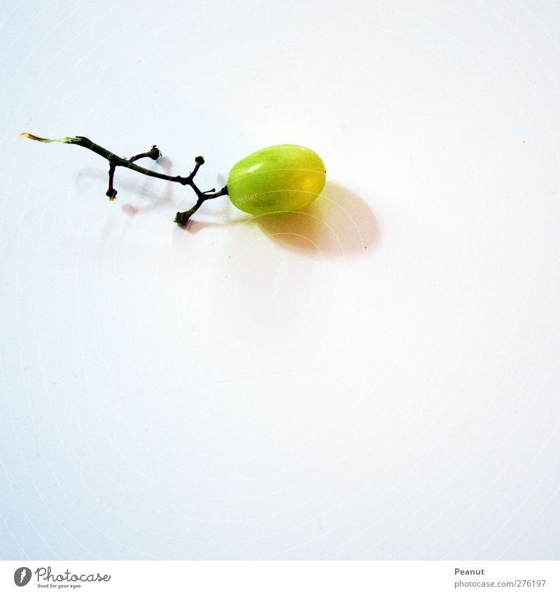 |eidechse| Lebensmittel Frucht Weintrauben Tier Echte Eidechsen grün weiß abstrakt Farbfoto Innenaufnahme Detailaufnahme Makroaufnahme Experiment Menschenleer