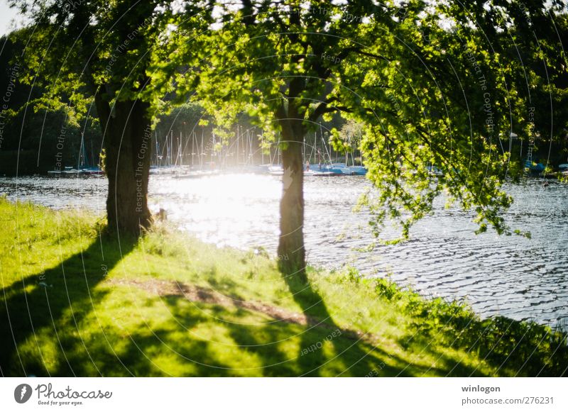 Sommerlicht Umwelt Natur Landschaft Pflanze Wasser Sonnenlicht Frühling Baum Gras Wasserfahrzeug Hafen Anlegestelle Schönes Wetter schön Erholung Stimmung