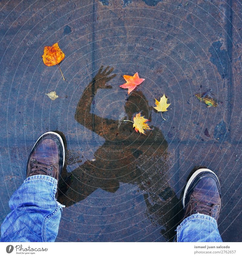 braunes Blatt und Silhouette Natur abstrakt Konsistenz Außenaufnahme Hintergrund Beautyfotografie Zerbrechlichkeit Herbst fallen Winter Beine Mensch Schatten