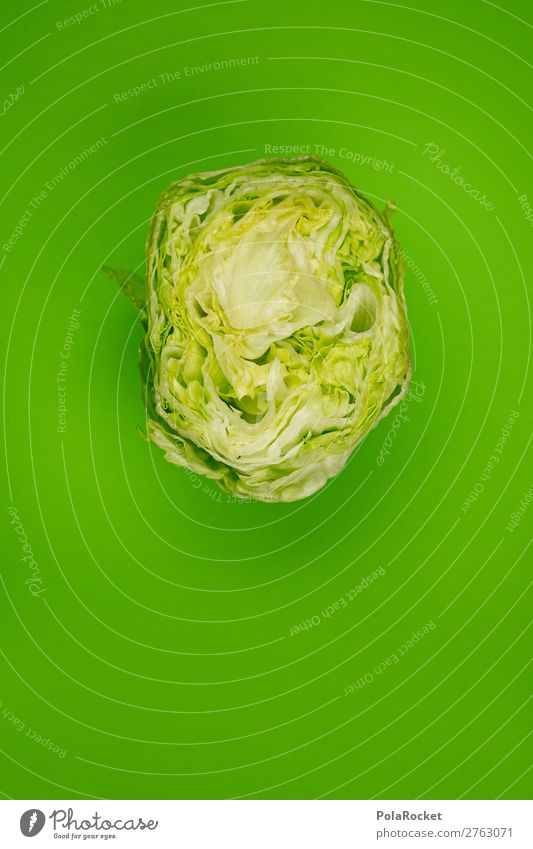 #AJ# SalatKopf Kunst ästhetisch Salatbeilage Salatblatt Salatkopf grün Vegetarische Ernährung Gesunde Ernährung Farbfoto mehrfarbig Außenaufnahme Studioaufnahme
