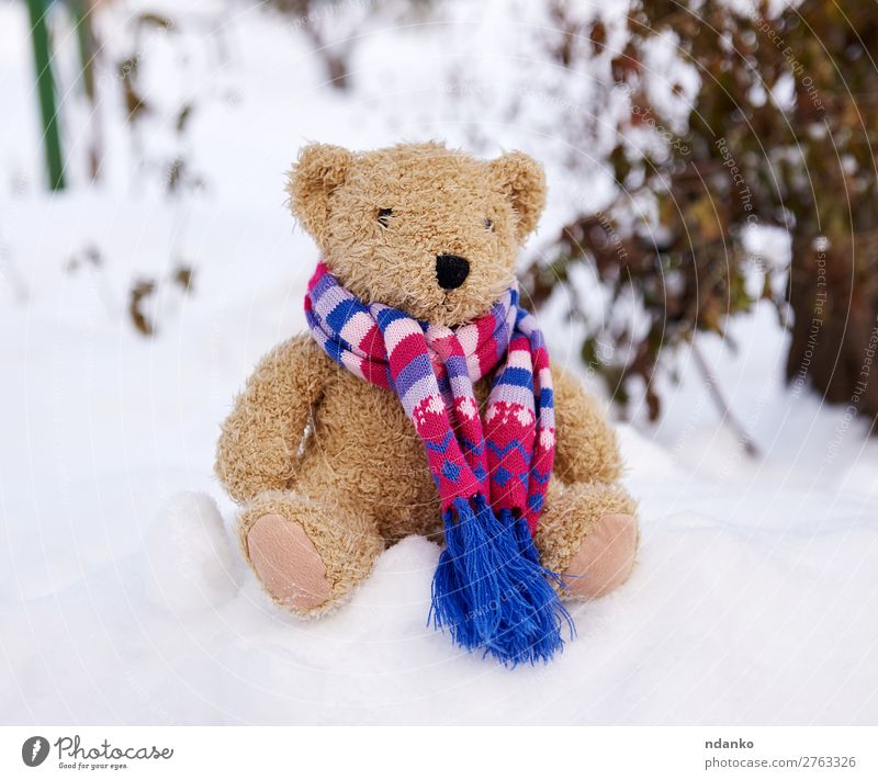 alter Teddybär im Schal sitzt auf weißem Schnee. Winter Kind Natur Wetter Park Spielzeug Puppe sitzen klein niedlich weich braun Liebe Einsamkeit Bär
