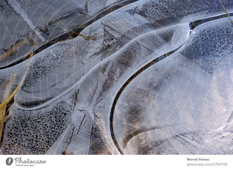 Eisfinger Umwelt Natur Herbst Winter Frost Wärme hell kalt nah blau grau Pfütze gefroren graphisch Linie Finger Starrer Blick Farbfoto Außenaufnahme Experiment