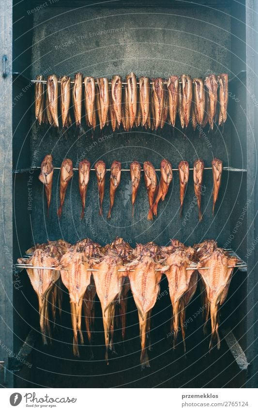 Fischreihen in der Rauchkammer Fleisch Meeresfrüchte Diät Industrie Natur frisch lecker natürlich Hintergrund Kasten Kammer Delikatesse Lebensmittel Gesundheit