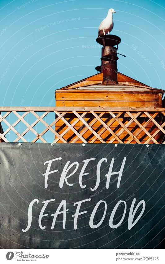 Möwe sitzt über einem Banner mit der Aufschrift Fresh Seafood. Meeresfrüchte Schornstein Vogel beobachten Transparente Kammer vorbei Rauchen Farbfoto