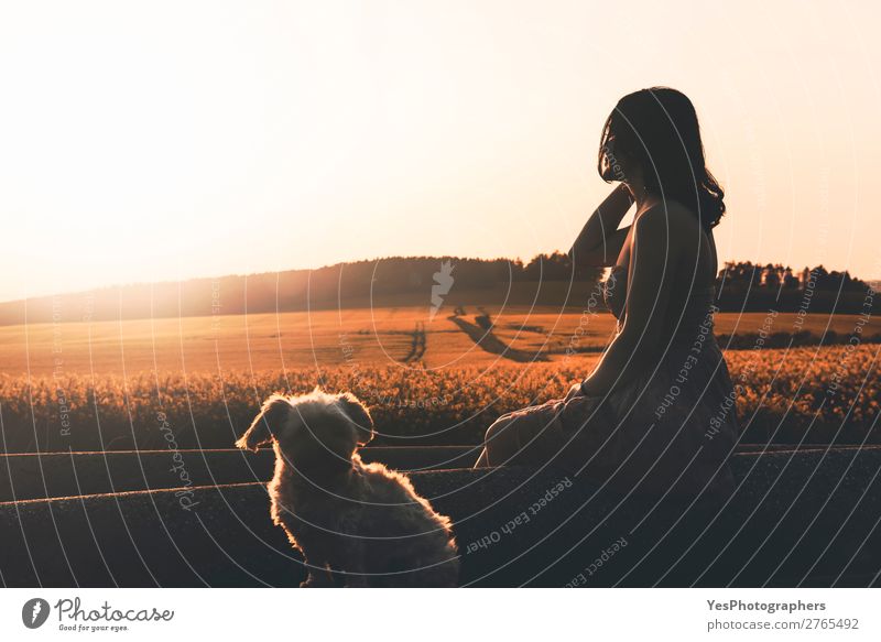 Frauensilhouette und Hund genießen den Sonnenuntergang in der Natur. Lifestyle Glück Erholung Sommer Erfolg Erwachsene Landschaft Kleid Haustier sitzen