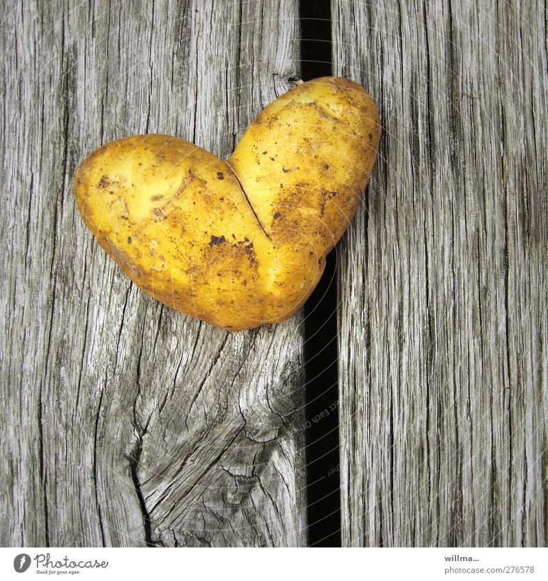 Herzkartoffel zum Valentinstag Lebensmittel Gemüse Kartoffeln Ernährung Mittagessen Abendessen Bioprodukte Vegetarische Ernährung Diät Gesunde Ernährung