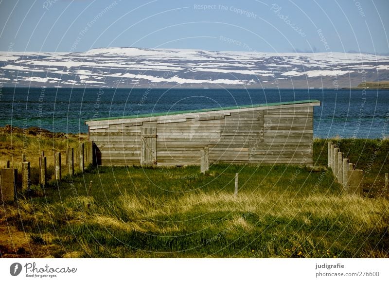 Island Umwelt Natur Landschaft Pflanze Wasser Himmel Klima Hügel Berge u. Gebirge Schneebedeckte Gipfel Fjord Westfjord Haus Hütte Gebäude natürlich Idylle
