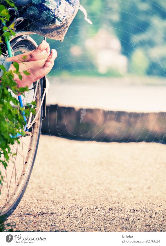 Sommerferien Lifestyle Glück Wohlgefühl Erholung ruhig lesen Ausflug Fahrradtour Sommerurlaub Sonne Sonnenbad Strand Fuß braun grün Rad Außenaufnahme abstrakt