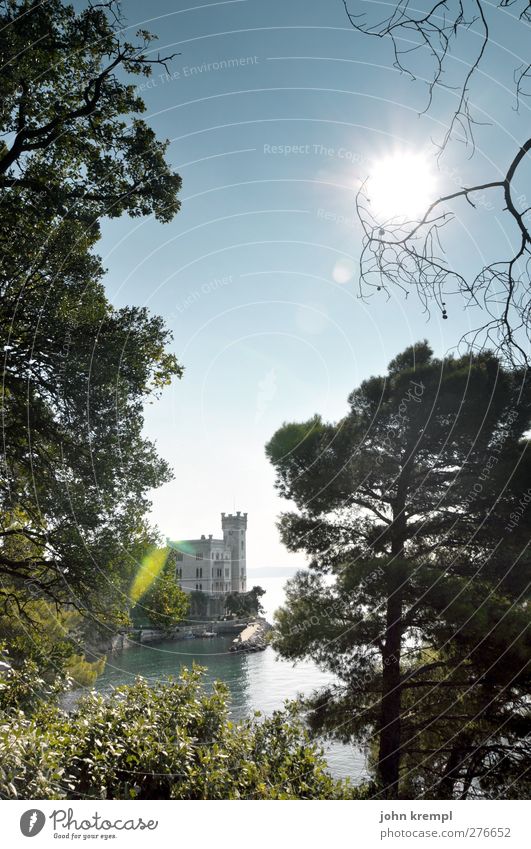 Meerchenhaft Wolkenloser Himmel Sonne Pflanze Baum Park Küste Bucht Italien Burg oder Schloss Gebäude Sehenswürdigkeit Denkmal leuchten ästhetisch historisch