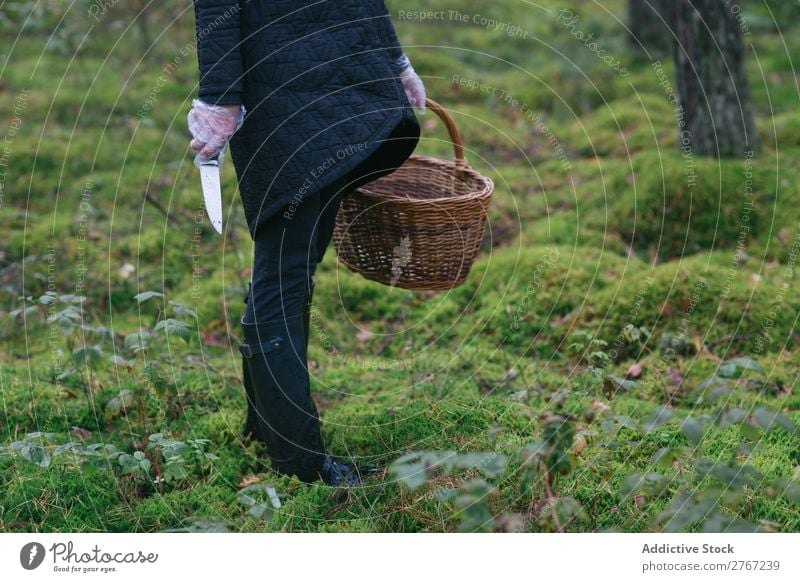 Getreidefrau beim Sammeln von Pilzen im Wald Frau Kommissionierung Erholung Tourismus natürlich Jahreszeiten Gesundheit Herbst abholen frisch Moos kalt pflücken