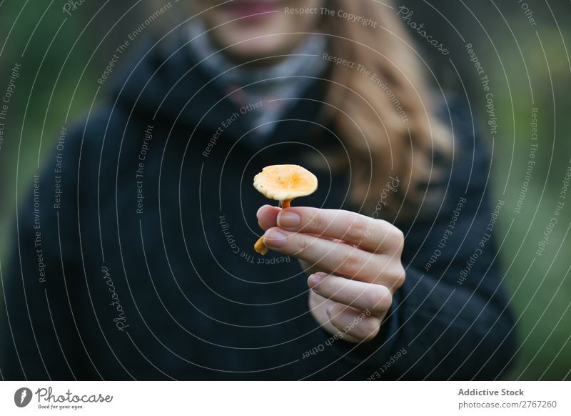 Getreideperson, die Pilze zeigt. Mensch abholen Jahreszeiten natürlich zeigen Herbst Aktion sich[Akk] schnell ausbreitend Gesundheit Kommissionierung Wald