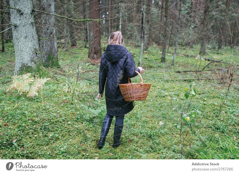 Frau sammelt Pilze im Wald Kommissionierung Erholung Sammeln Tourismus natürlich Jahreszeiten Gesundheit Herbst abholen frisch Moos kalt pflücken essbar Gras