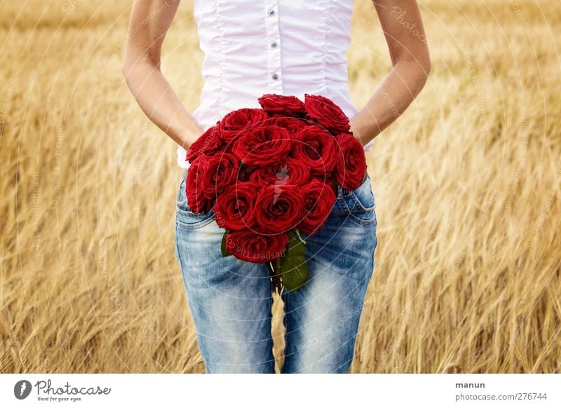 Rote Rosen Feste & Feiern Valentinstag Muttertag Geburtstag Mensch feminin Frau Erwachsene Leben Körper Arme 1 Sommer Feld Zeichen rote Rose gold Gefühle Glück