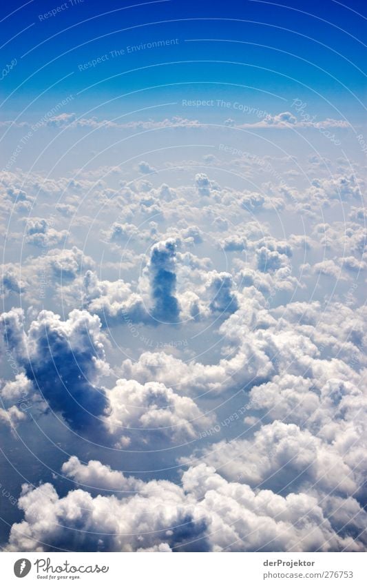 Heiter bis wolkig Umwelt Urelemente Luft Himmel Wolken Frühling Schönes Wetter Luftverkehr Flugzeug Passagierflugzeug ästhetisch außergewöhnlich gigantisch groß