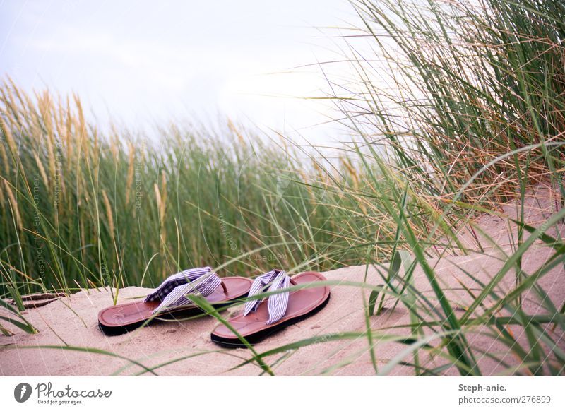 Einsame Schuhe Sand Himmel Wolken Gras Dünengras Stranddüne Nordsee Ostsee Mode Flipflops entdecken Erholung genießen hocken liegen schlafen stehen Glück
