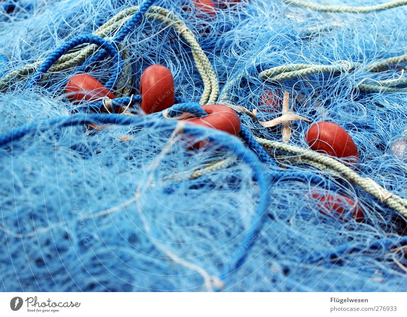Gewebe das zum Fischfang genutzt wird Fischereiwirtschaft Fischernetz Netz netzartig Farbfoto Außenaufnahme Tag
