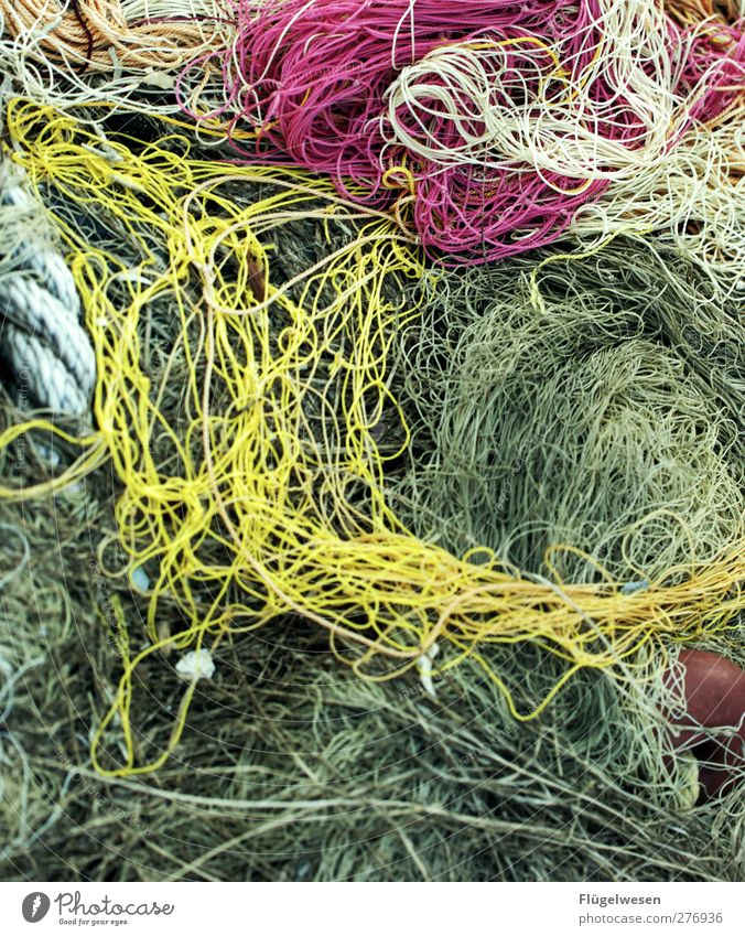 Netzwerkerkennung Fischereiwirtschaft Fischernetz netzartig Farbfoto Außenaufnahme Tag