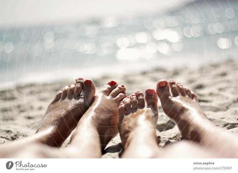 es glitzert. Erholung ruhig Sommer Sommerurlaub Sonne Strand Meer Jugendliche Leben Fuß Zehen 2 Mensch genießen liegen blau Zufriedenheit Gelassenheit