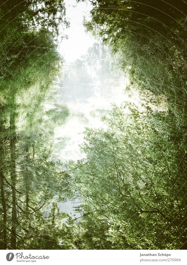 gespiegelt Umwelt Natur Pflanze Wasser Himmel Baum ästhetisch Gefühle Zufriedenheit Wald Fluss See Spiegelbild Reflexion & Spiegelung unklar Flussufer Idylle