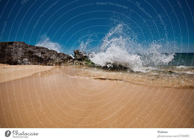 .....refreshment Sommer Schönes Wetter Strand Meer Erholung genießen frisch Coolness Erfrischung spritzen Stein Algarve Farbfoto Außenaufnahme