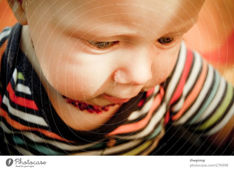 Jona maskulin Baby Kindheit Gesicht 1 Mensch 0-12 Monate niedlich Glück Lebensfreude Neugier Freude lernen Wachstum Farbfoto Porträt Blick nach unten
