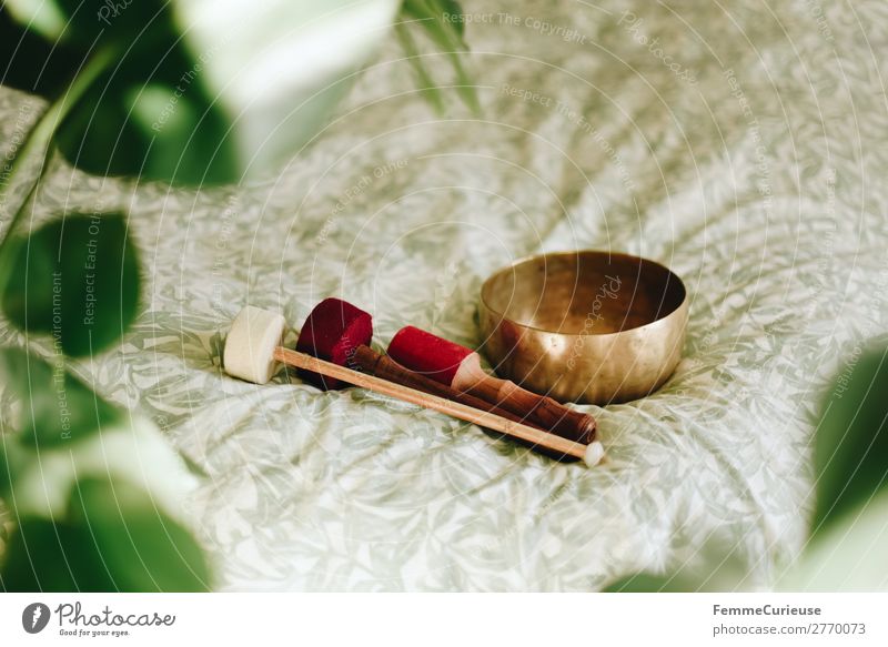 Singing bowl in a cozy home Lifestyle Gesundheit Behandlung harmonisch Wohlgefühl Zufriedenheit Sinnesorgane Erholung ruhig Meditation Klangschale