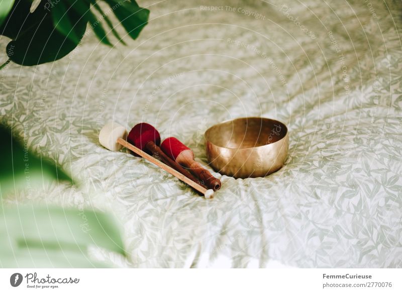 Singing bowl in a cozy home Gesundheit harmonisch Wohlgefühl Zufriedenheit Sinnesorgane Erholung ruhig Meditation Häusliches Leben achtsam Klangschale