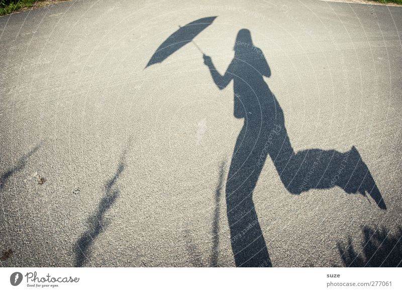 Regenüberlauf Mensch 1 Umwelt Wetter Schönes Wetter Verkehrswege Fußgänger Straße Wege & Pfade Regenschirm laufen lustig grau Schattenspiel Humor Wetterschutz