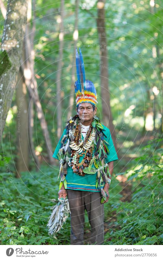 Mann in authentischem Kostüm im Wald tropisch national Tradition Körperhaltung mehrfarbig Sommer Urwald Zauberei u. Magie Kultur hell Bekleidung reif Natur
