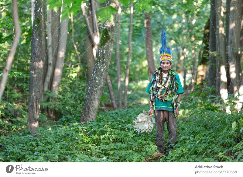 Mann in authentischem Kostüm im Wald tropisch national Tradition Körperhaltung mehrfarbig Sommer Urwald Zauberei u. Magie Kultur hell Bekleidung reif Natur