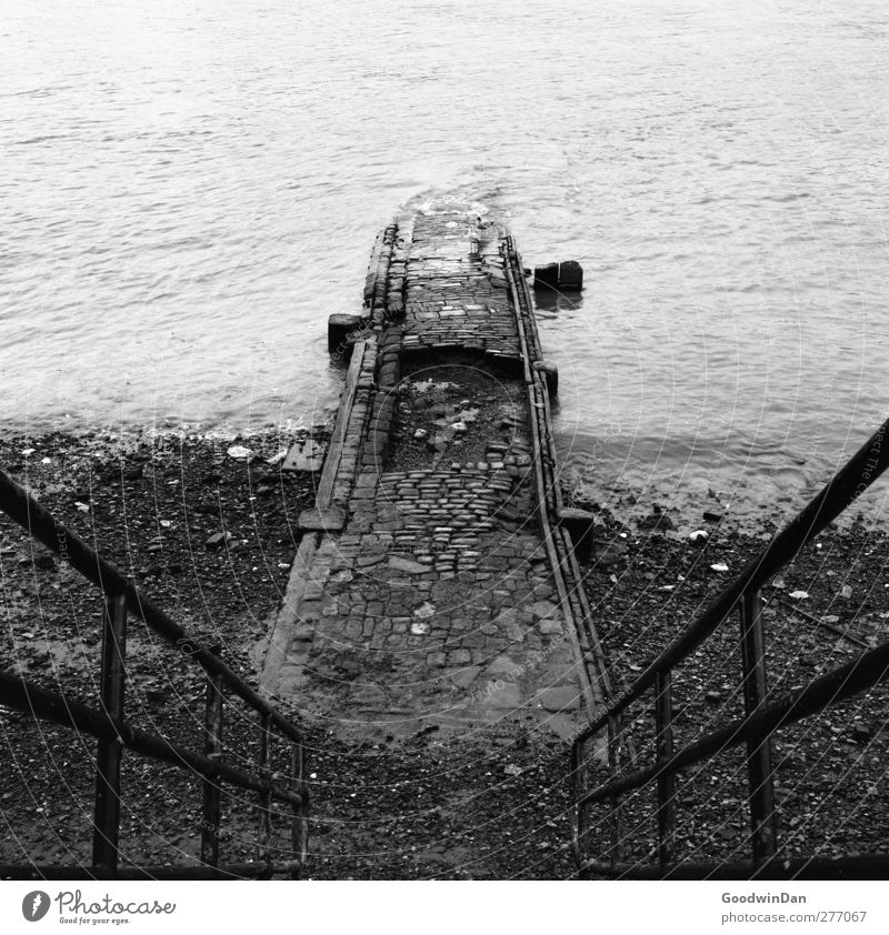 Thames. Umwelt Natur Fluss Themse London Stadt Treppe alt authentisch Unendlichkeit trist trocken Stimmung Schwarzweißfoto Außenaufnahme Menschenleer Tag