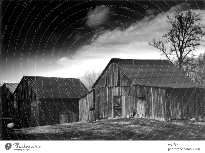 Old Barn Scheune Wolken Holzhütte Amerika Stimmungsbild Architektur Schwarzweißfoto