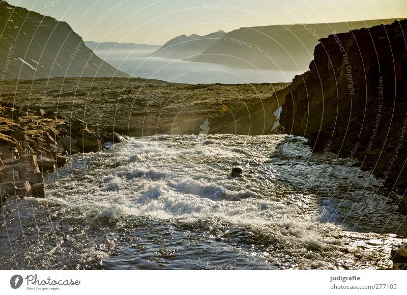 Island Umwelt Natur Landschaft Urelemente Wasser Klima Felsen Berge u. Gebirge Fjord Fluss Wasserfall Dynjandi Westfjord fantastisch natürlich wild Stimmung