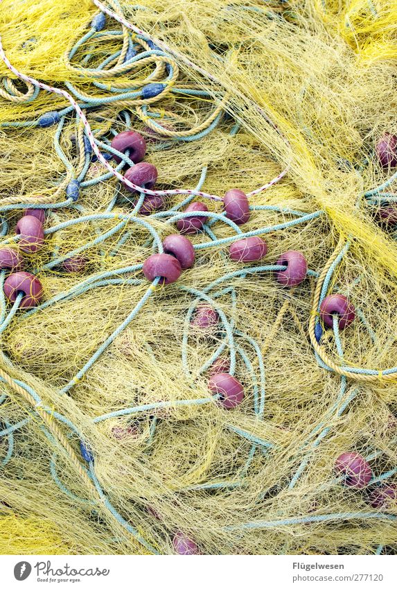 Ganz viel Netz Fischereiwirtschaft Fischernetz Netzwerk netzartig Farbfoto Außenaufnahme Tag
