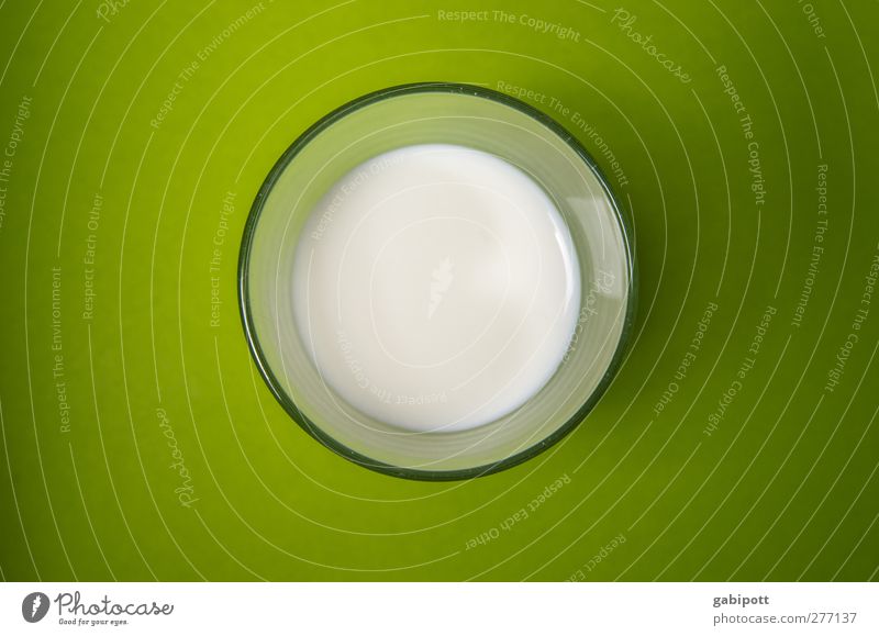 Gesunde Milch Lebensmittel Getränk trinken Glas außergewöhnlich Freundlichkeit frisch Gesundheit saftig grün weiß Durst modern schön Wellness Milchglas