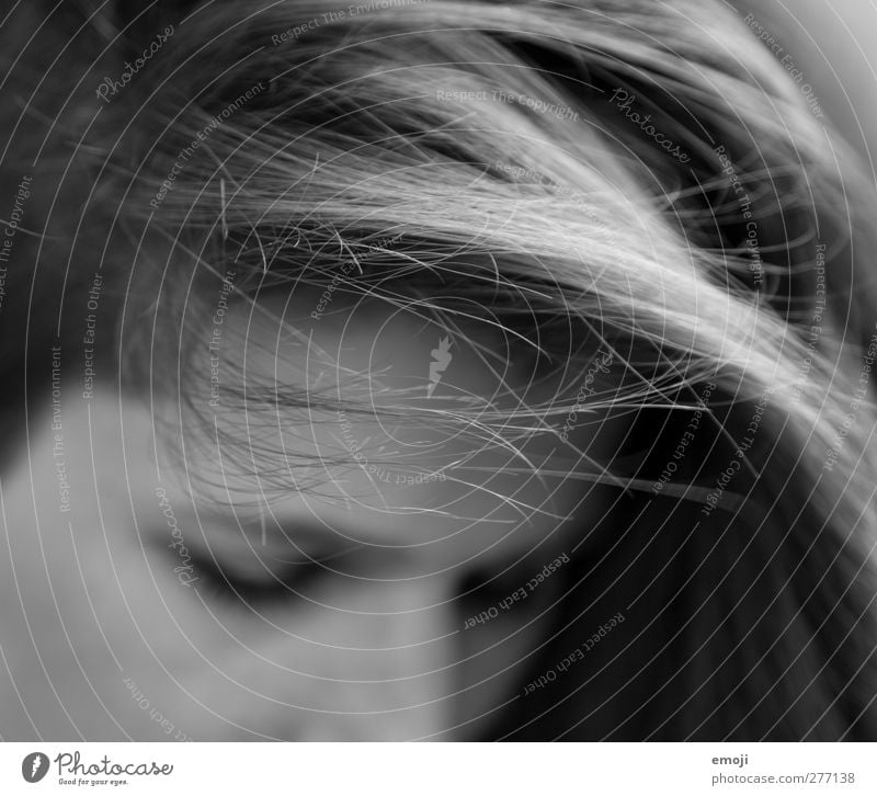 1200 verschlafen Junge Frau Jugendliche Mensch Haare & Frisuren langhaarig Schwarzweißfoto Außenaufnahme Nahaufnahme Detailaufnahme Makroaufnahme Tag