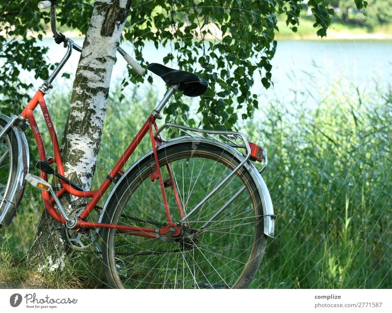 Fahrrad steht an Birke gelehnt am See in Finnland Lifestyle Wellness Freizeit & Hobby Ferien & Urlaub & Reisen Fahrradtour Sommer Sommerurlaub Sonne Sport