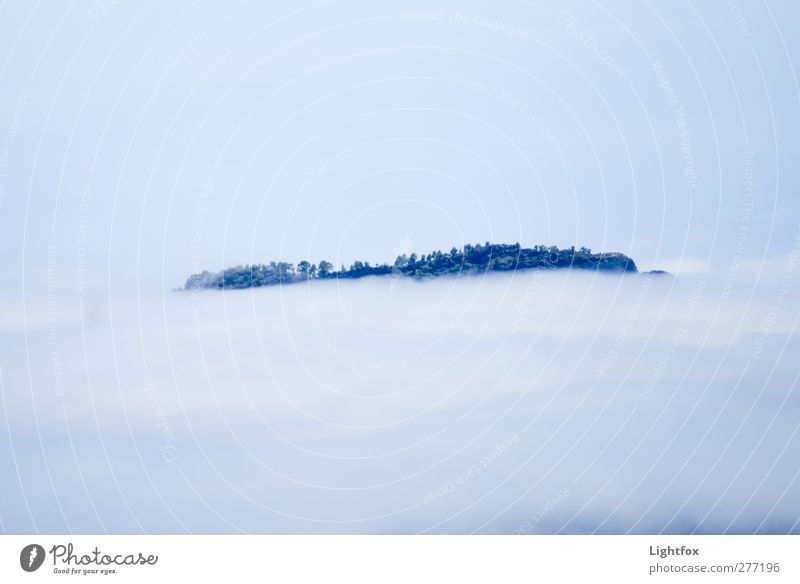 Über den Wolken muss die Freiheit... Natur Landschaft Pflanze Luft Himmel Klima Klimawandel Nebel Baum Engel ästhetisch Unendlichkeit blau Gefühle vernünftig