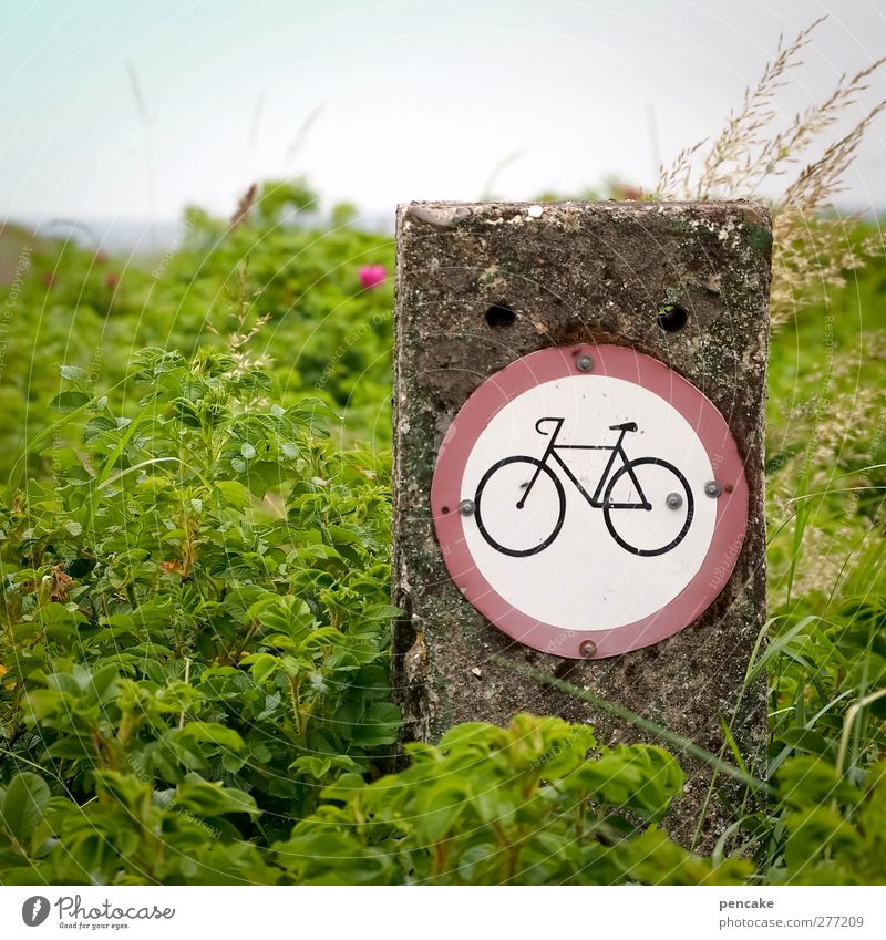 cykler forbudt Fahrradfahren Natur Landschaft Pflanze Wildpflanze Fjord Schilder & Markierungen Hinweisschild Warnschild Verkehrszeichen wandern grün Dänemark