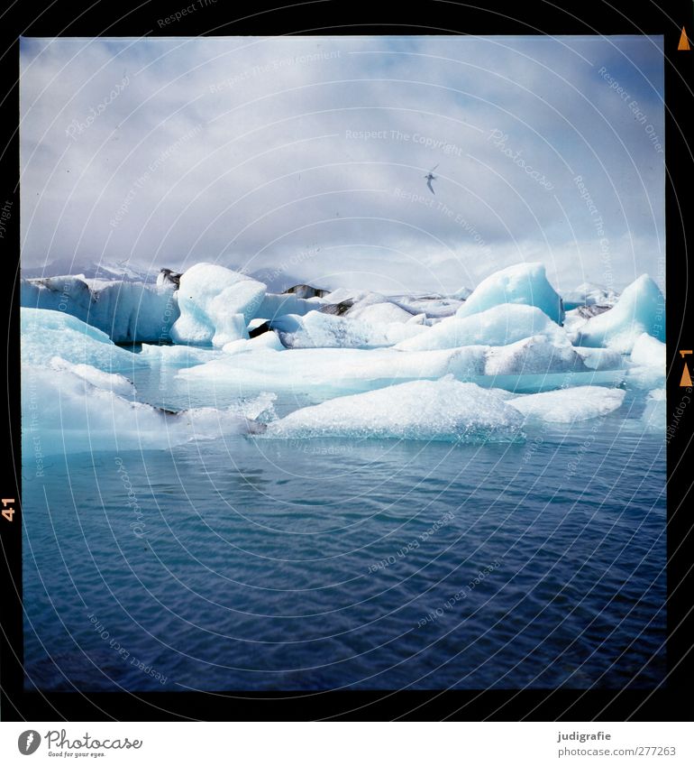 Island Umwelt Natur Landschaft Urelemente Wasser Himmel Wolken Klima Eis Frost Gletscher See Jökulsárlón kalt natürlich blau Stimmung Wandel & Veränderung